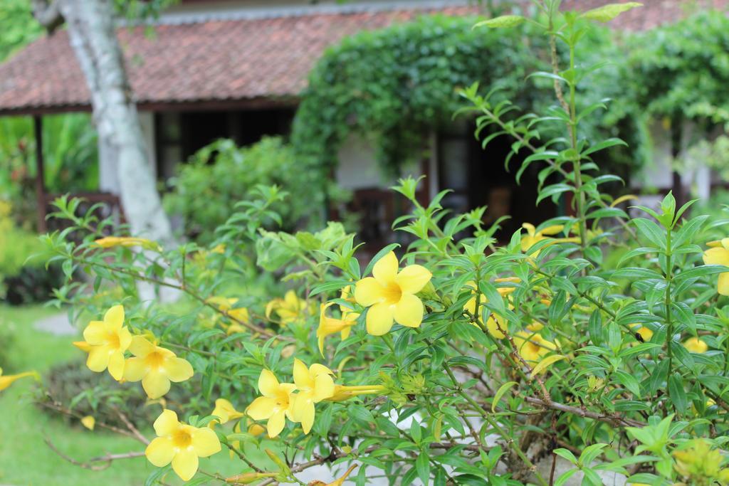 Margo Utomo Eco Resort Kalibaru Exterior photo