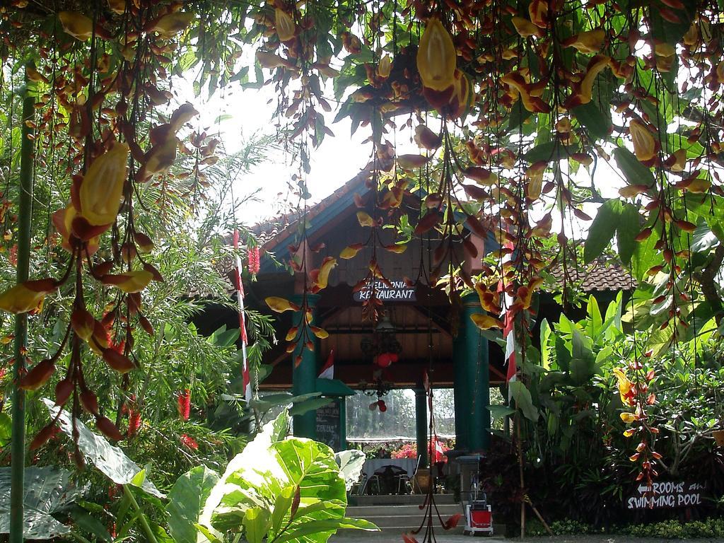 Margo Utomo Eco Resort Kalibaru Exterior photo